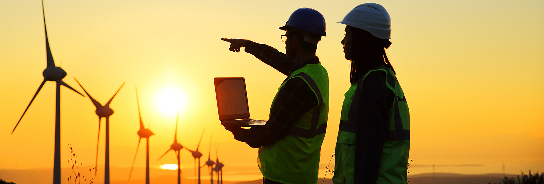 Section Image: Wind turbines in the distance with 2 workers pointing to them at sunset 