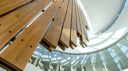 Section Image: Frog Fountain at night 
