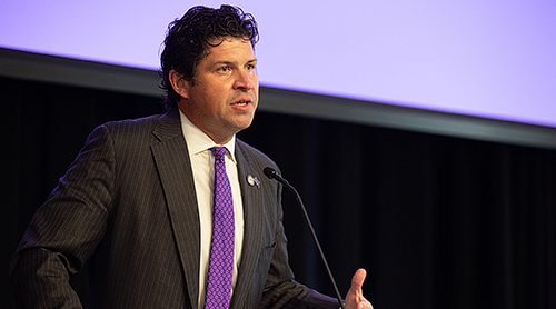 Section Image: Frog Fountain at night 