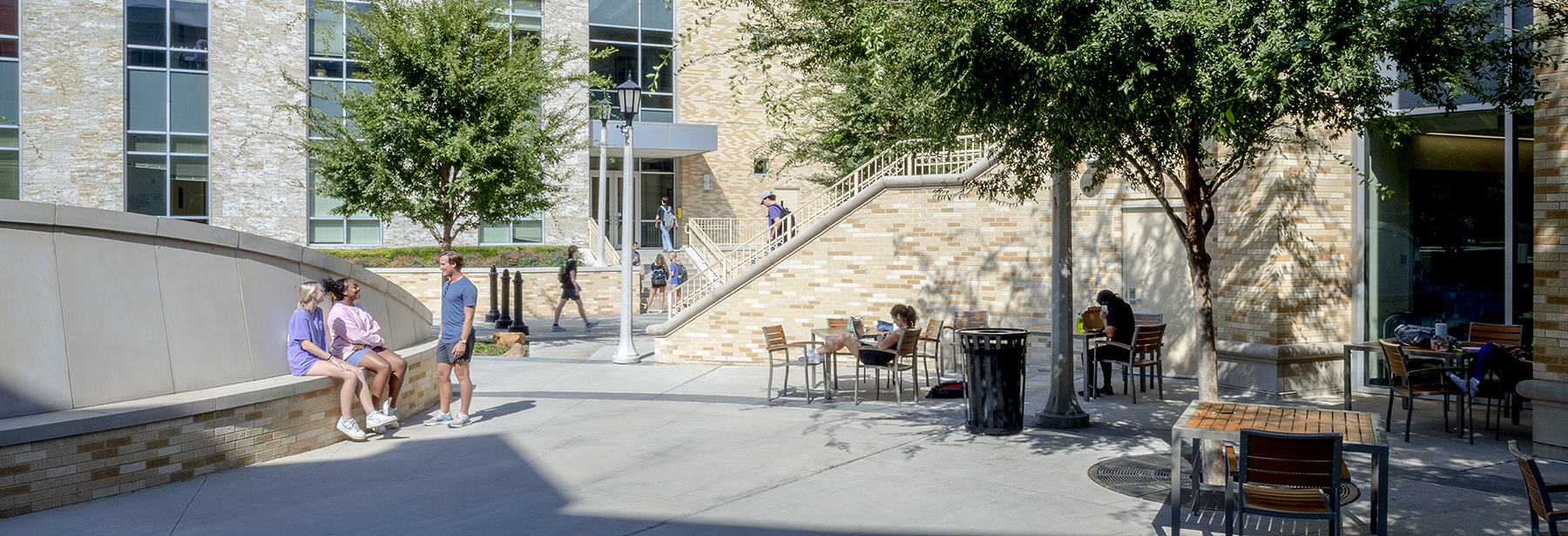 Section Image: Roach Plaza 