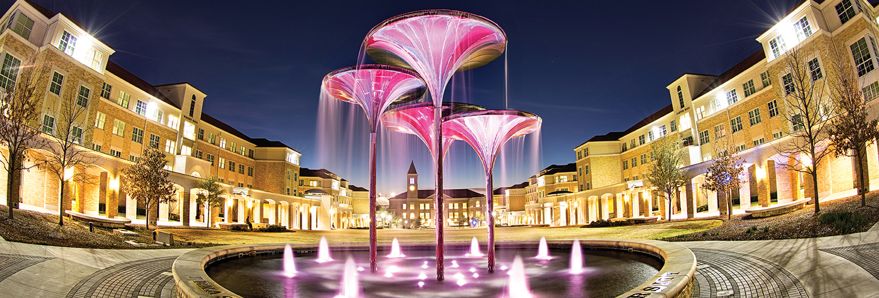 Section Image: Frog Fountain at night 