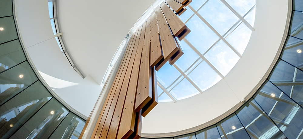 Section Image: Frog Fountain at night 