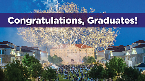 Frog Fountain at night 