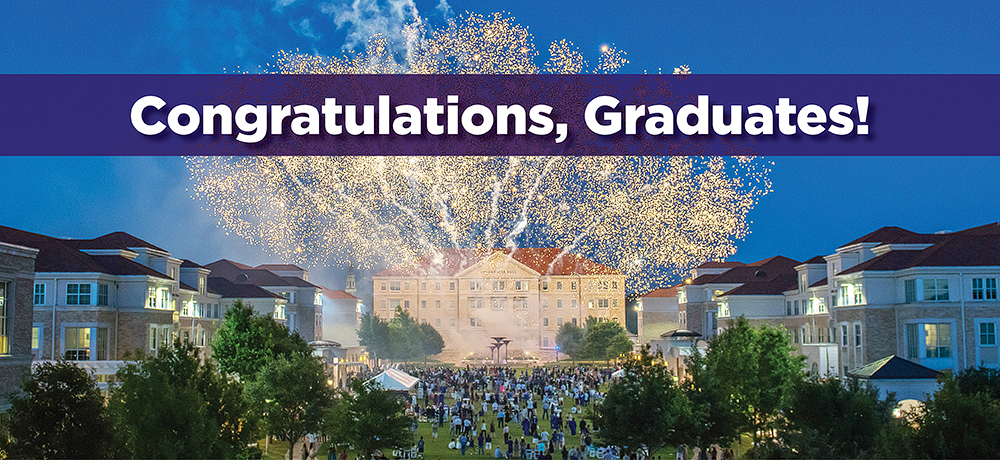 Section Image: Frog Fountain at night 